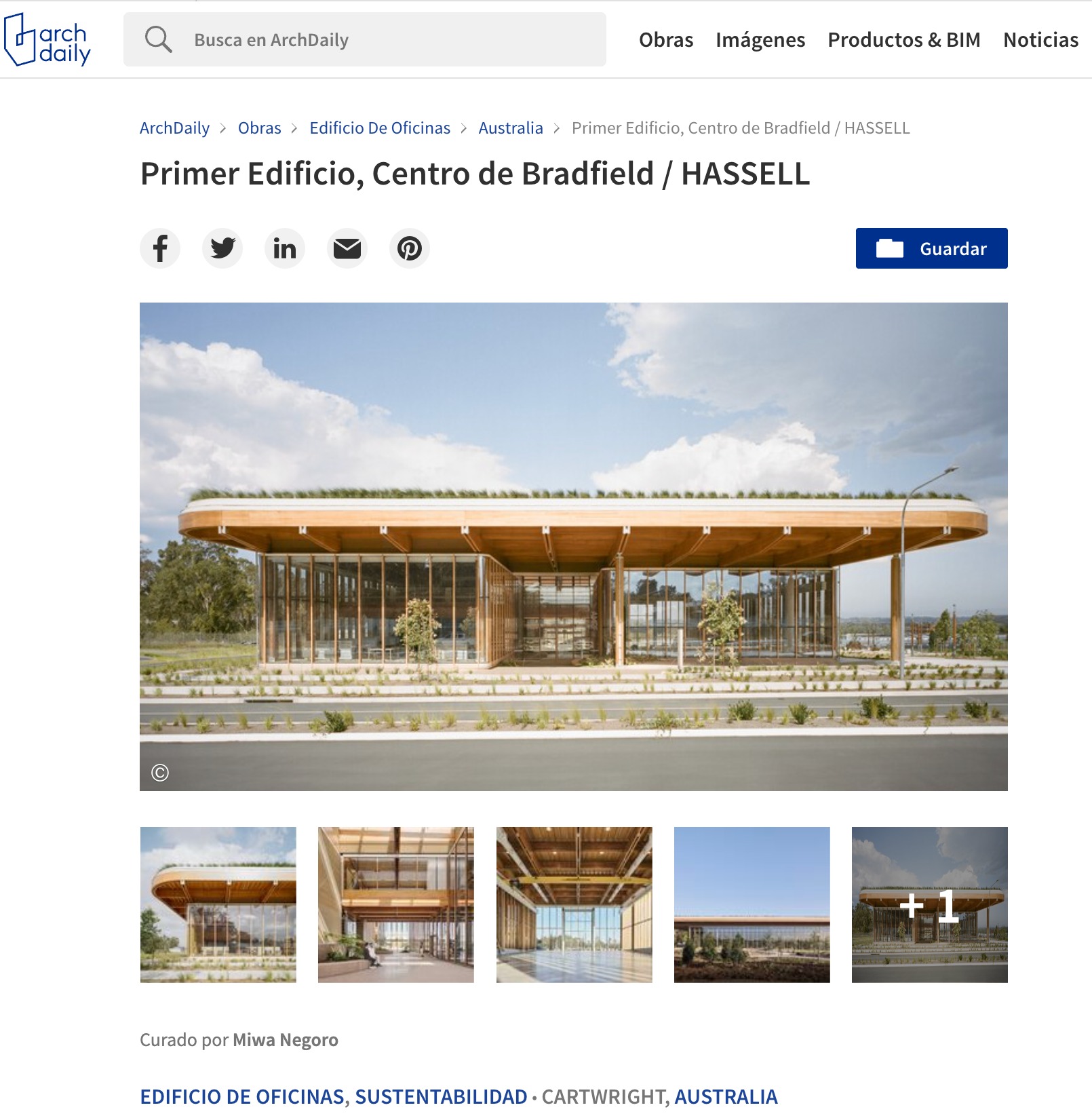 techos de madera minimalistas